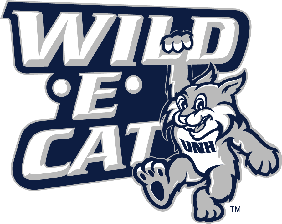 New Hampshire Wildcats 2000-2019 Misc Logo iron on transfers for T-shirts